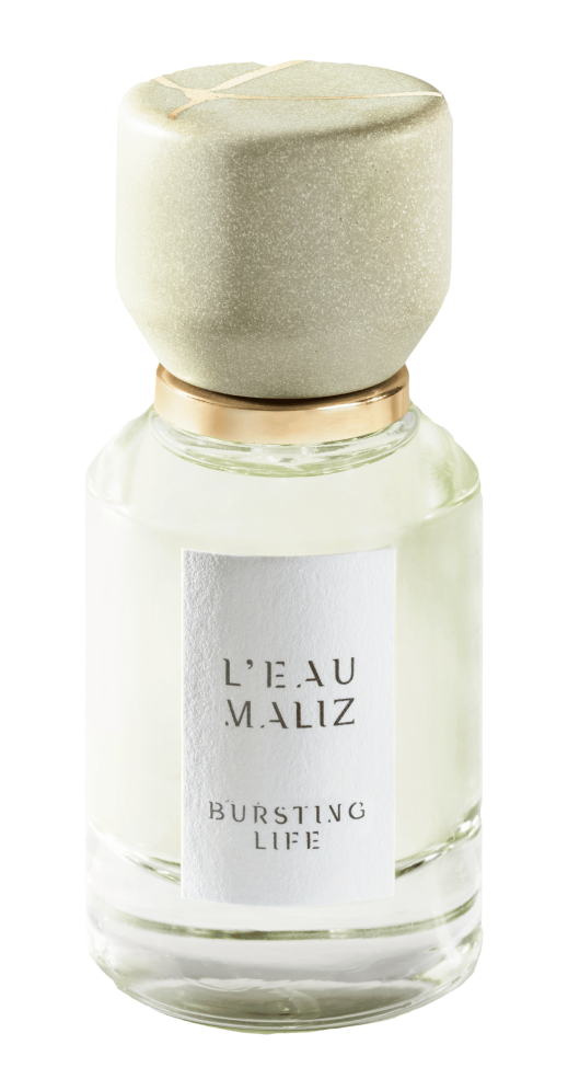 Chapter 4: BURSTING LIFE